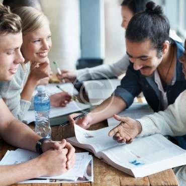 Everything about the World&rsquo;s Language Groups